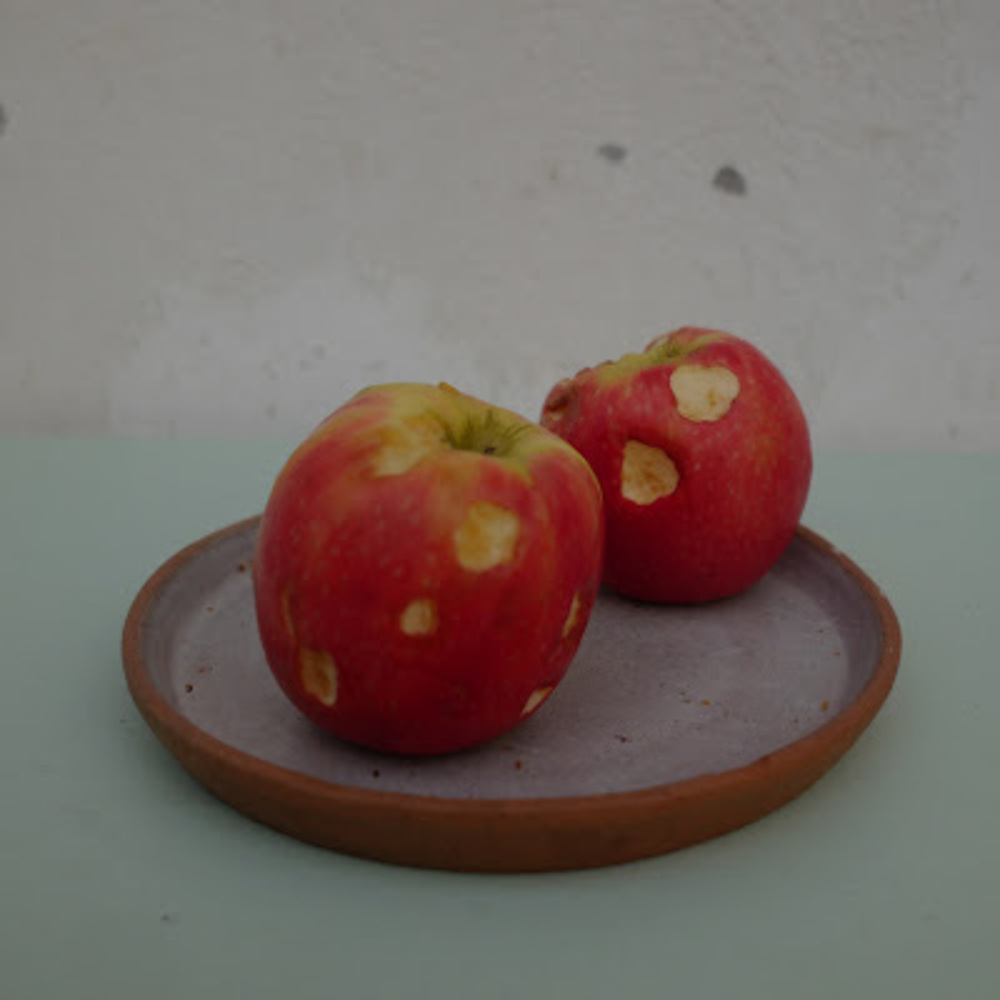 Meet your Posher, Emilia